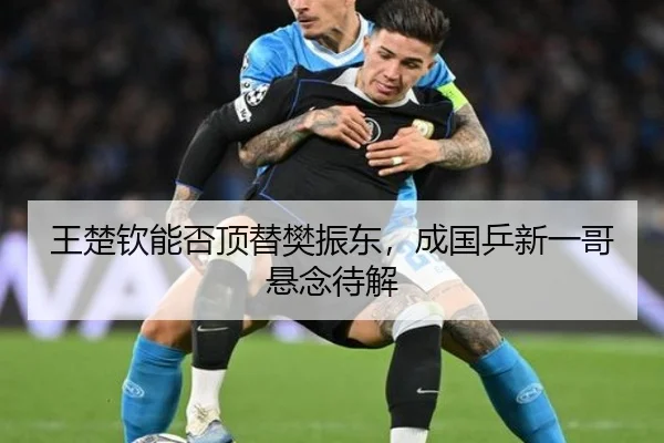 王楚钦能否顶替樊振东，成国乒新一哥悬念待解